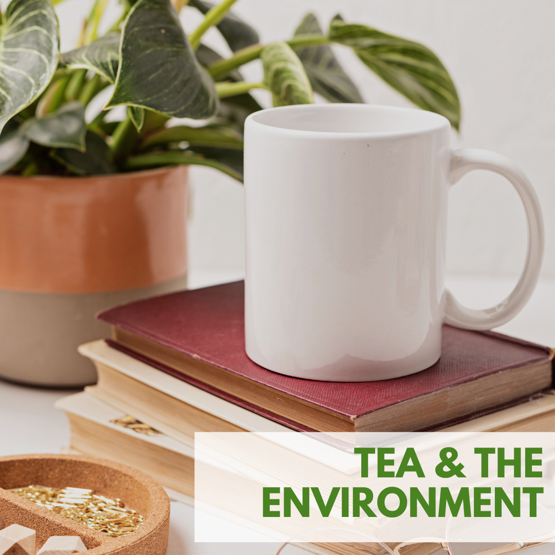 Green Tea: How to Enjoy Your Cup While Being Eco-Friendly