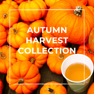 Autum Harvest Collection - Beach House Teas