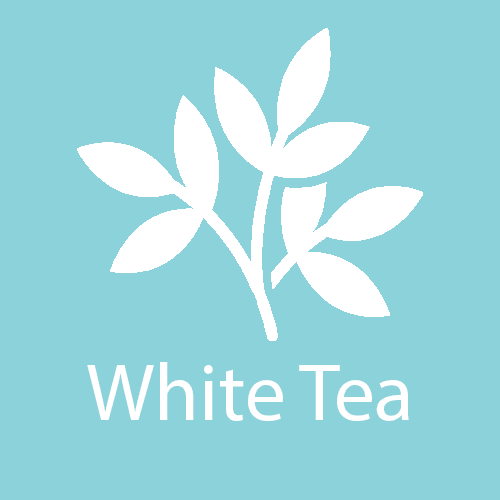 White Tea - Beach House Teas